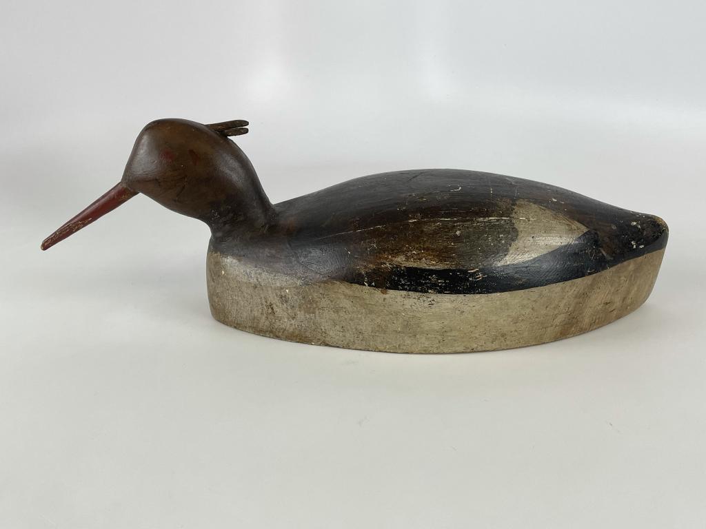 Rare New England Hen Merganser (1 of 5)
