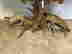item-112864158=4