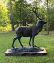 Monumental Elk Bronze Sculpture by James Marsico