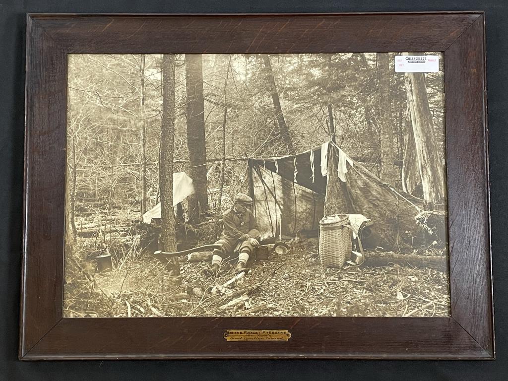 "In the Forest Preserve" Framed Print (1 of 4)