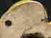 item-112864371=4