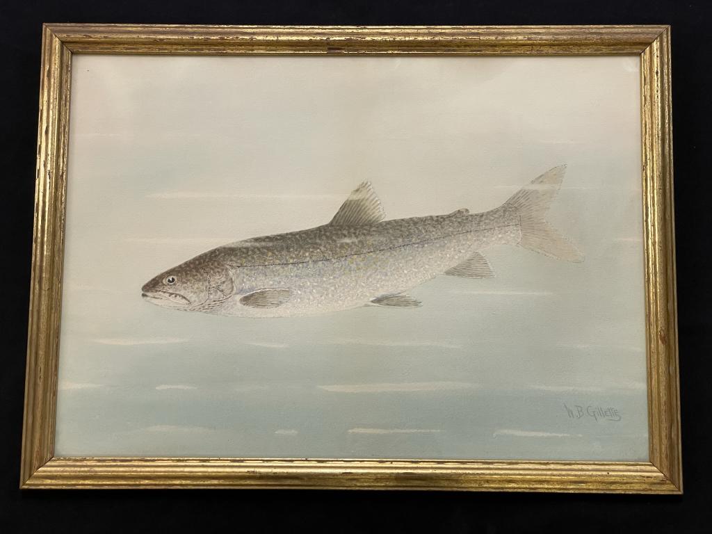 W.B. Gillette (1864-1937) Trout Watercolor (1 of 5)