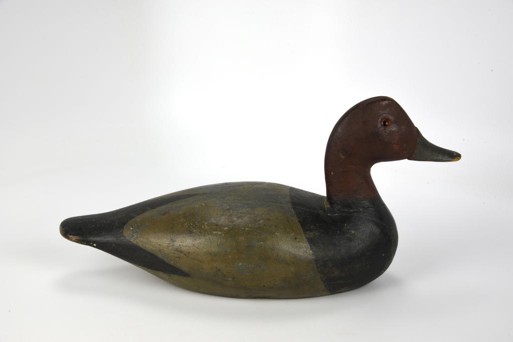 Drake Redhead Early Duck Decoy (1 of 5)