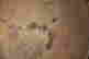 item-133385291=2