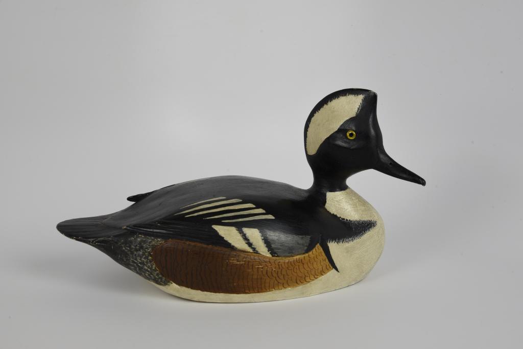 Hooded Merganser Duck Decoy by C. Larcombe (1 of 4)