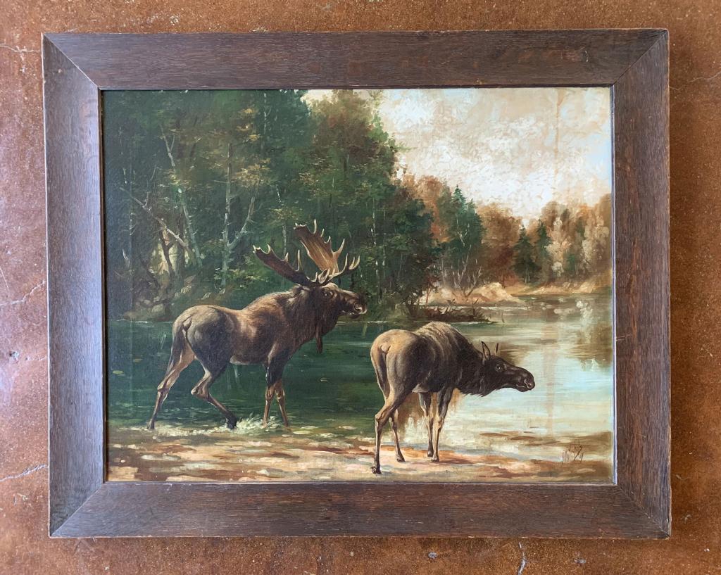 D.W. Nichols 1907 Oil on Canvas of a Moose (1 of 6)