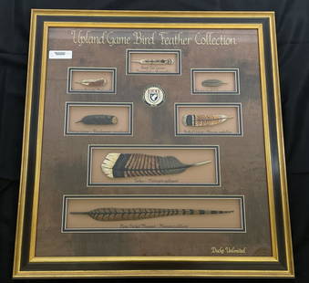 Upland Game Bird Feather Collection: Professionally framed and matted , hand carved & painted feathers, issued by Ducks Unlimited. 29 1/2" x 30 1/2"