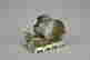 item-133385816=6