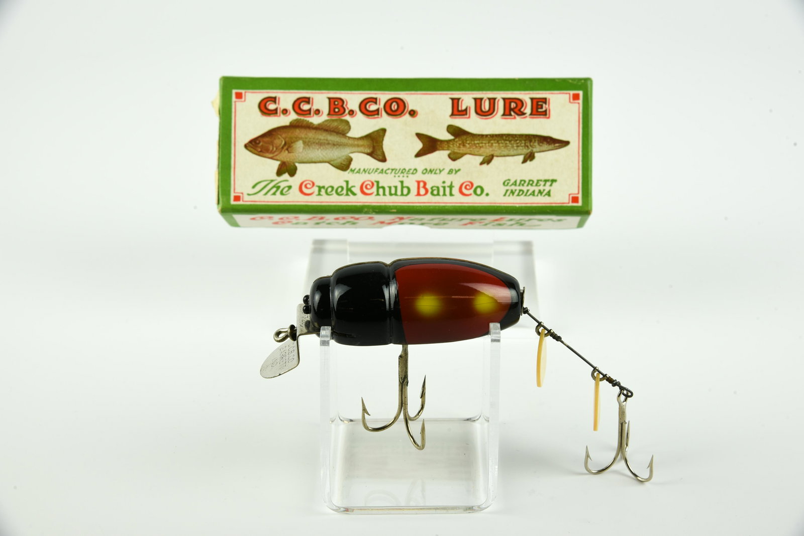 Creek Chub 3855 Beetle (1 of 6)