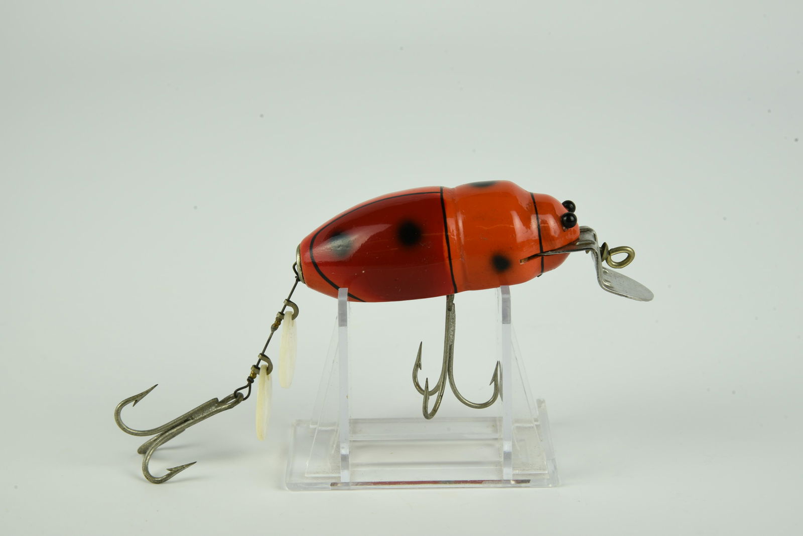 Creek Chub Beetle (1 of 5)