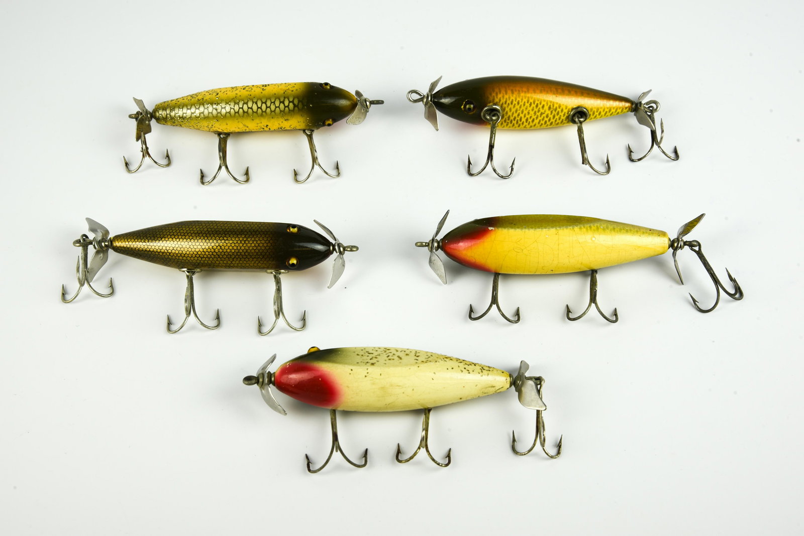 5 Creek Chub Injured Minnows (1 of 2)