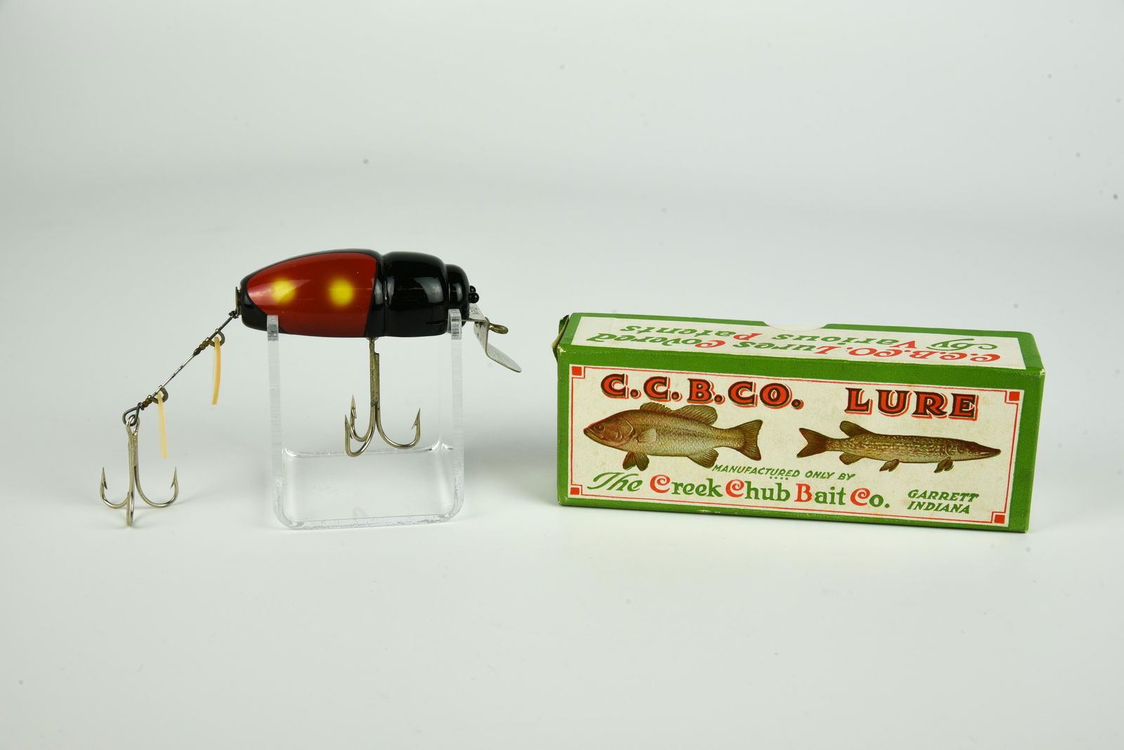 Creek Chub 3855 Beetle (1 of 5)