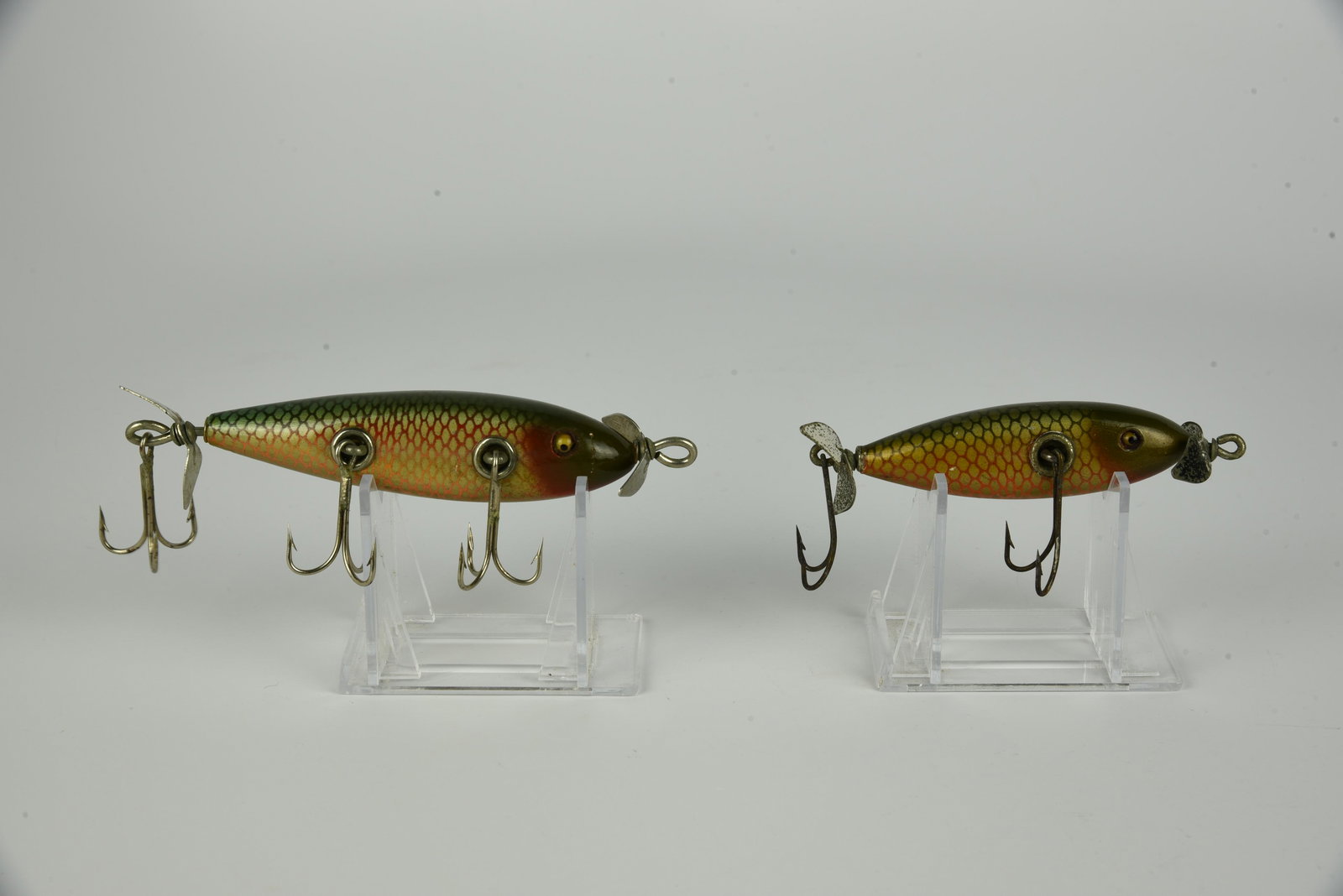 2 Creek Chub Injured Minnows (1 of 5)