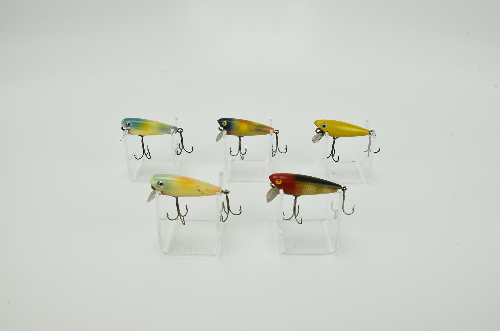 5 Shakespeare Pups (1 of 3)