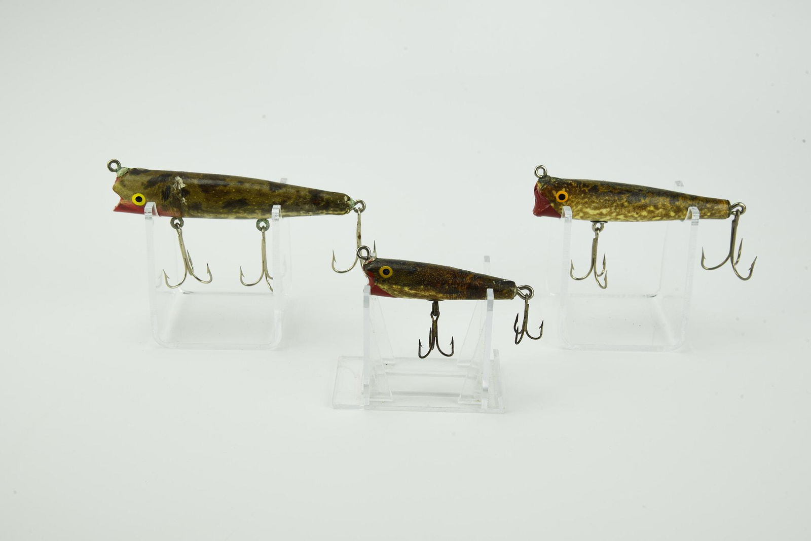 3 Eger Frogskin Darters (1 of 9)