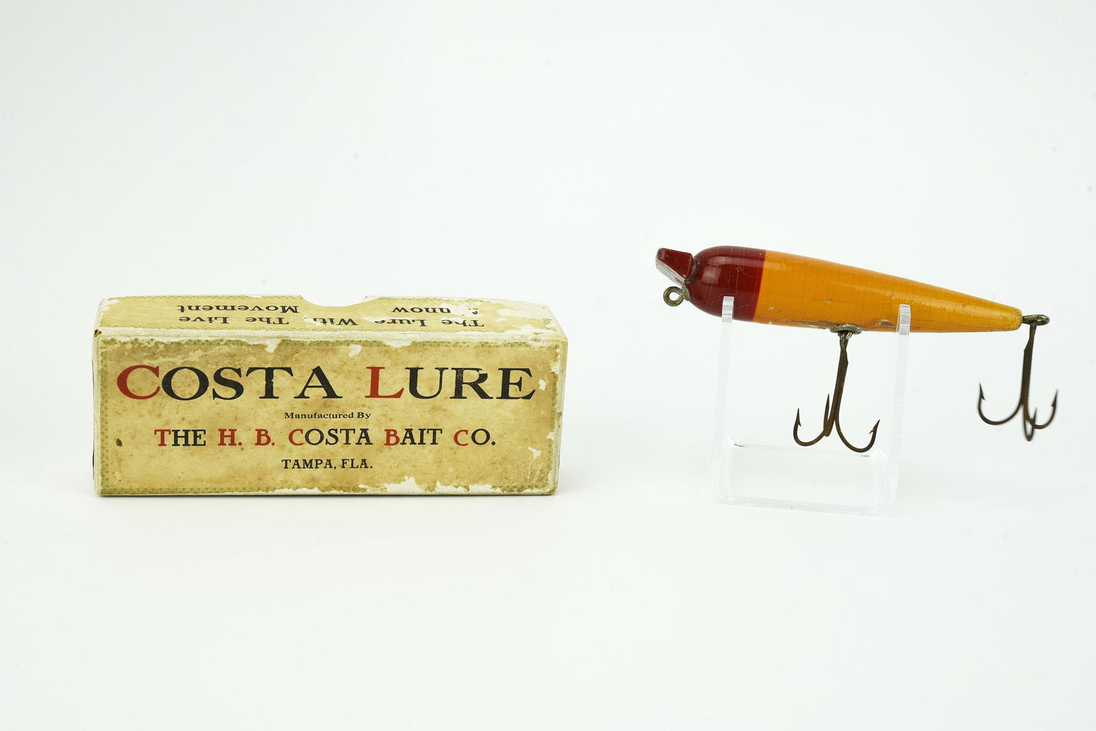 H.B. Costa Hammerhead (1 of 5)