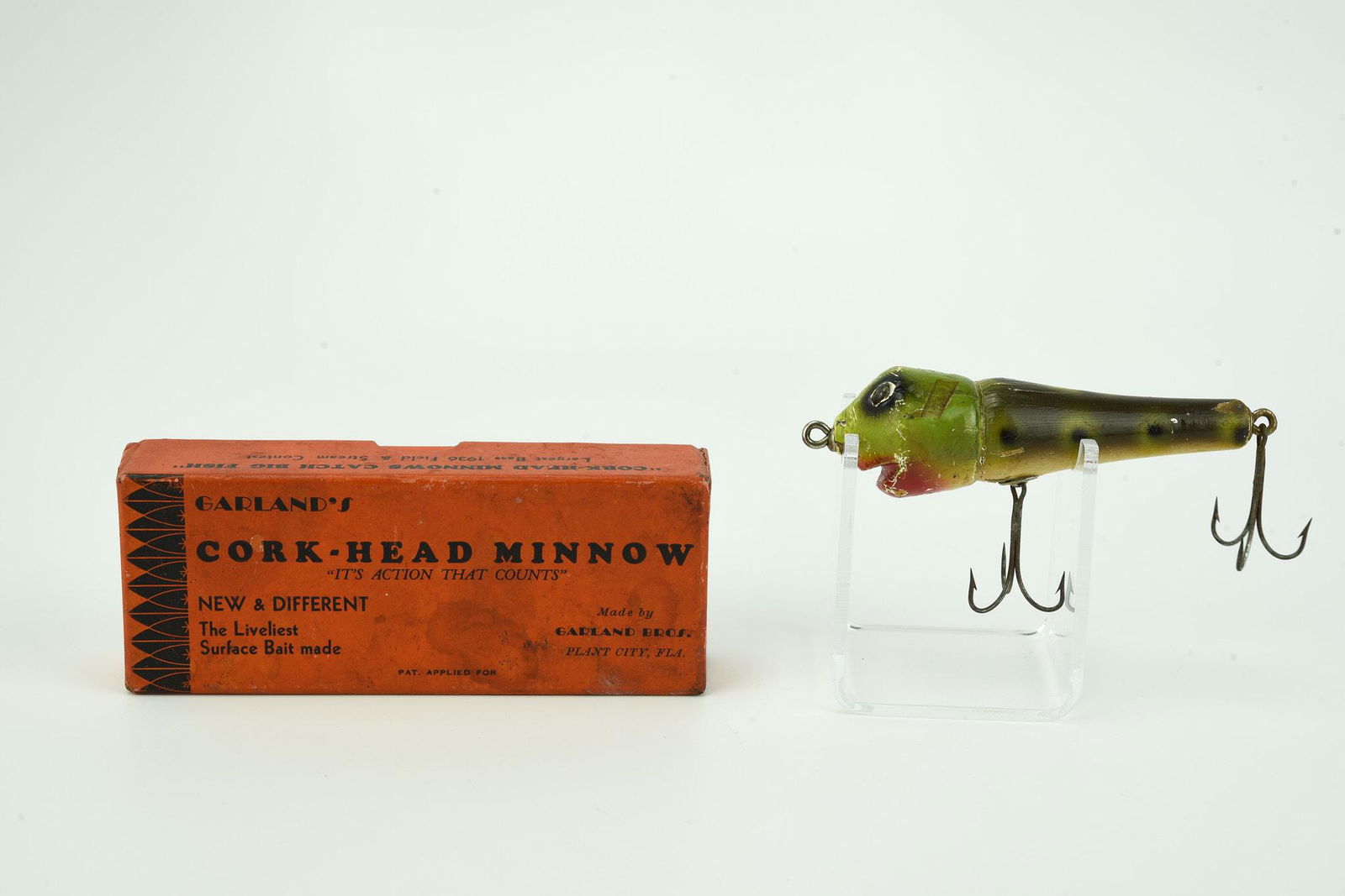 Garland's Cork-Head Minnow (1 of 6)
