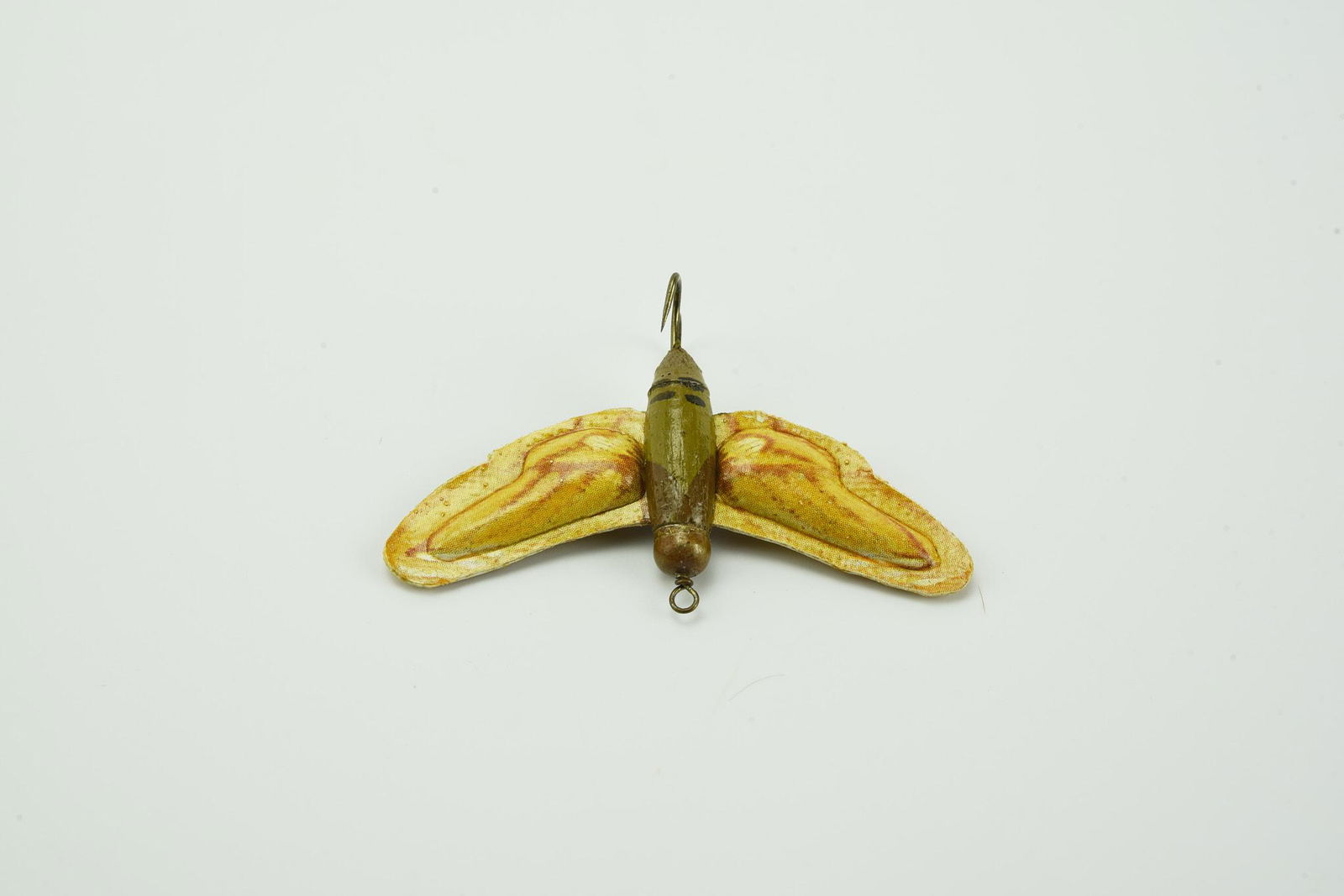 Colorado Floating Moth (1 of 2)