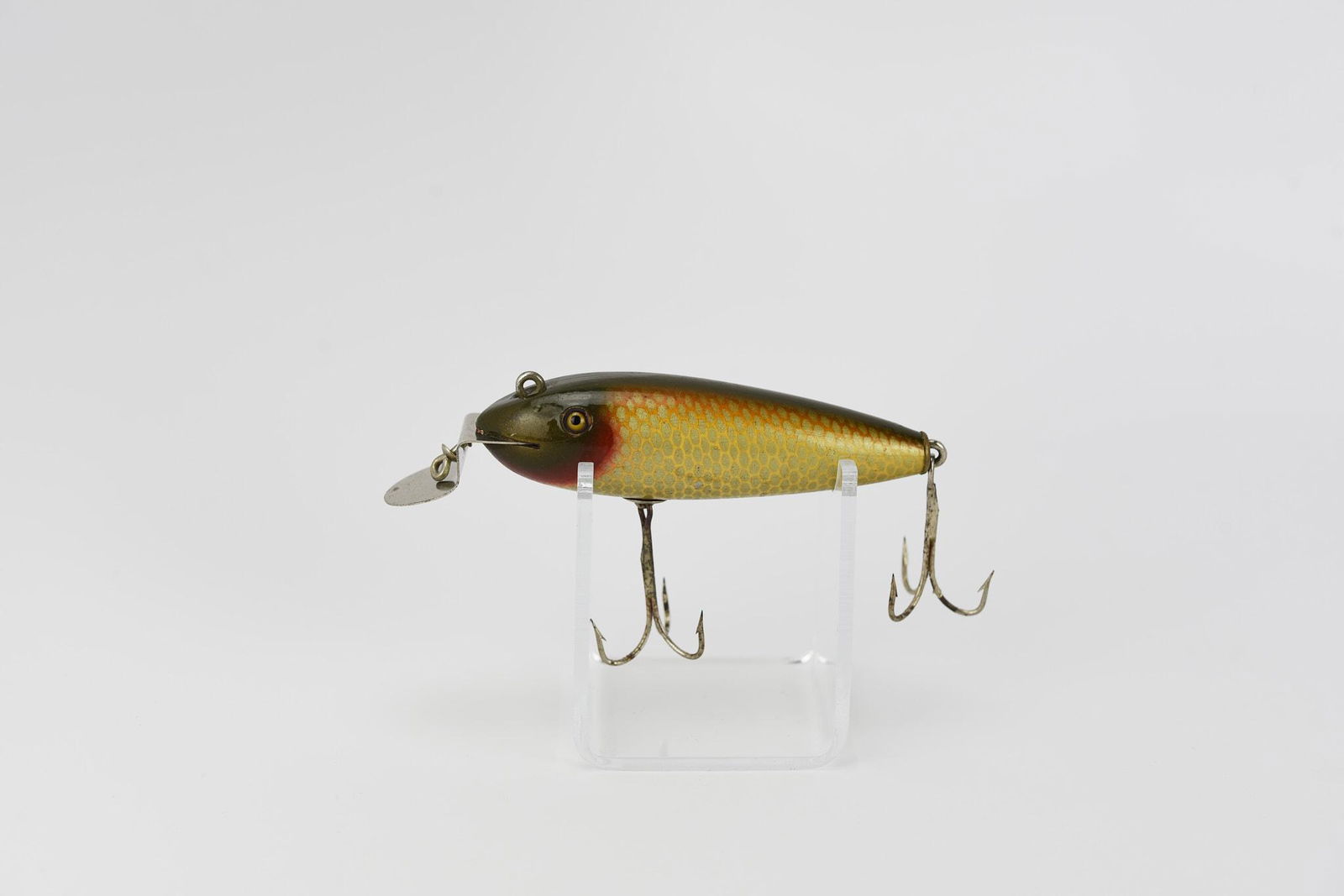 Early Creek Chub Wiggler (1 of 4)