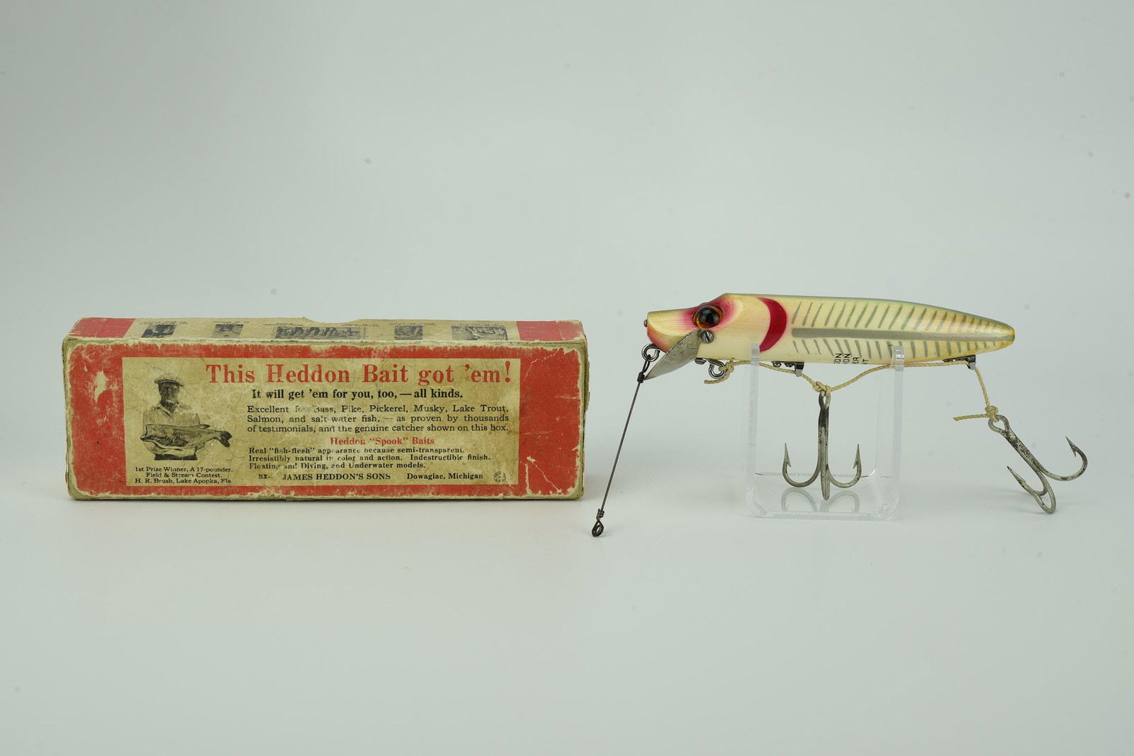 Heddon Salmon River Runt (1 of 5)