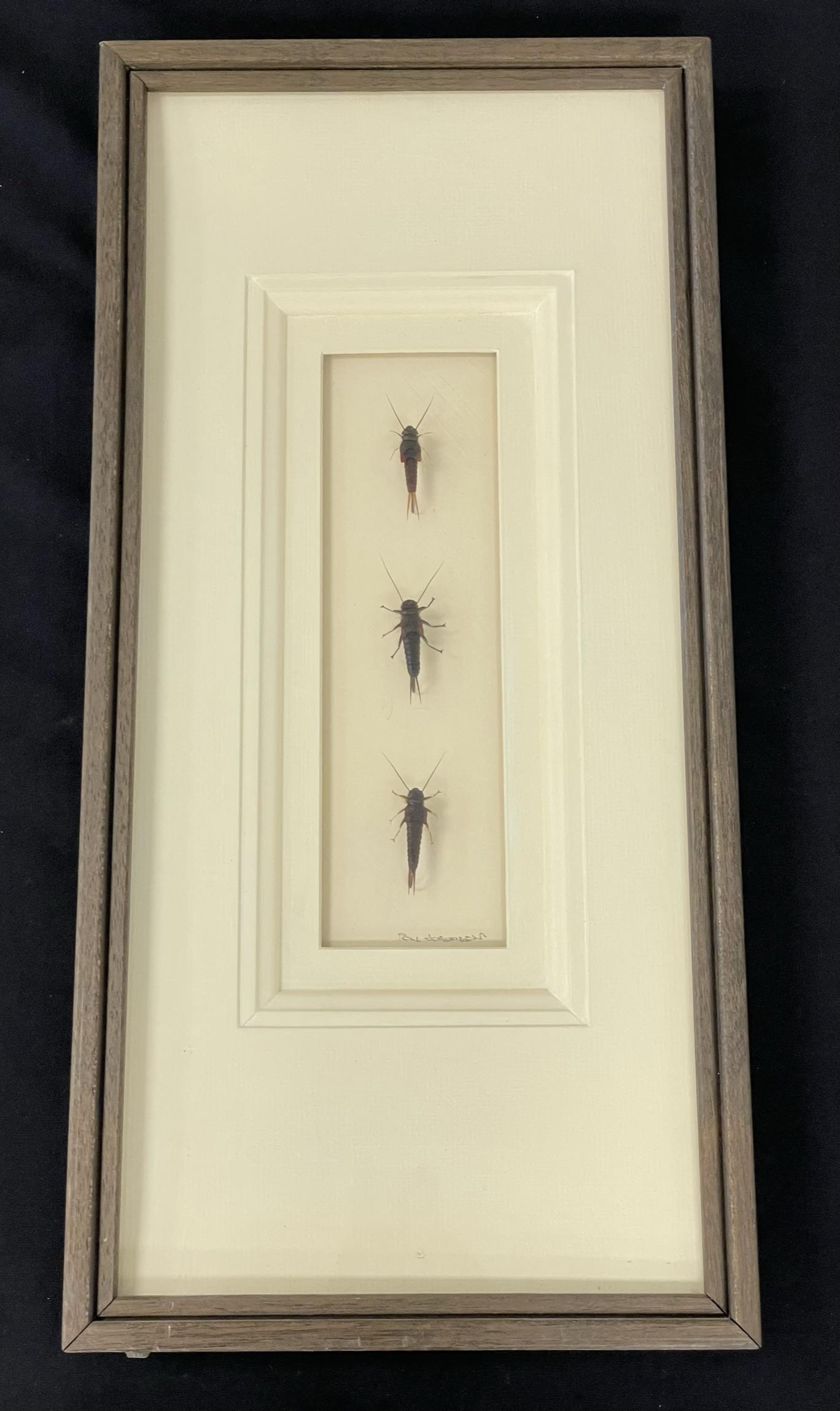 Poul Jorgensen Fly Display (1 of 5)