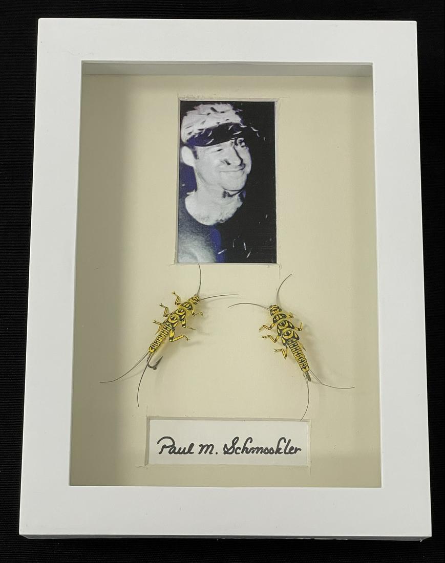 Framed Schmookler Stoneflies (1 of 4)