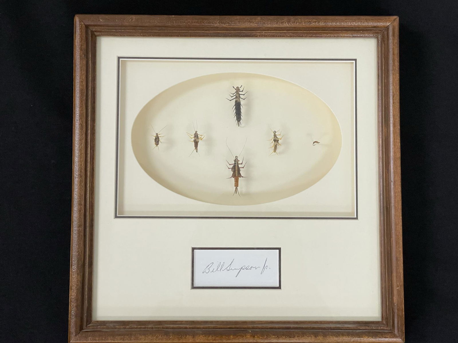 Framed Simpson Stoneflies (1 of 4)