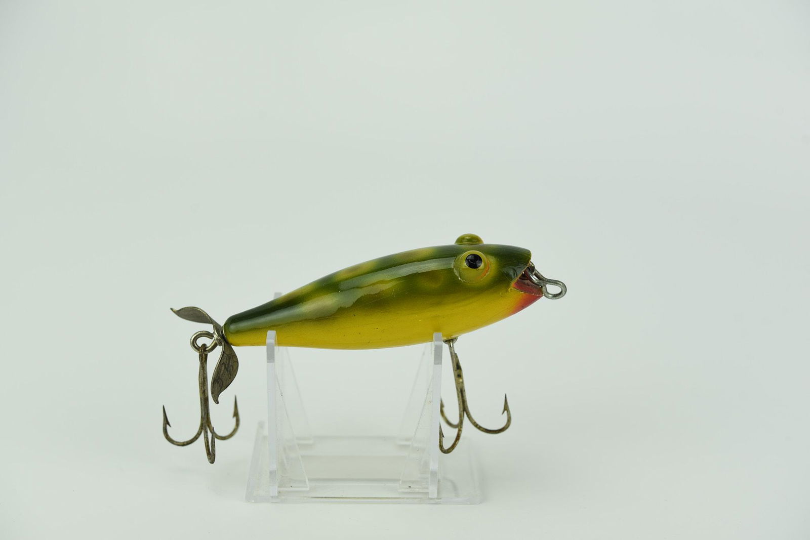 Eger Bulge Eye Frog (1 of 5)