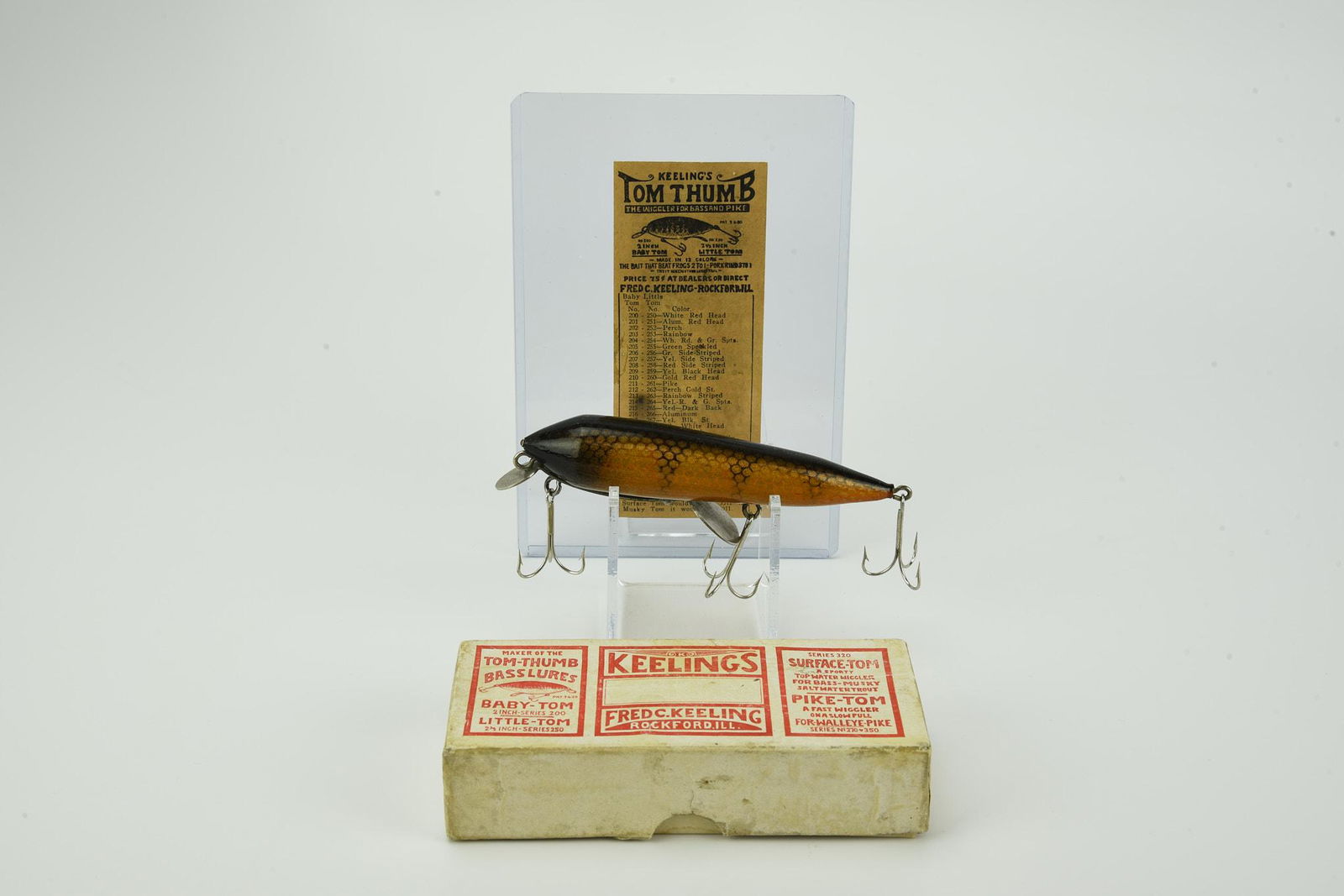 Keeling's Flapper Minnow (1 of 4)