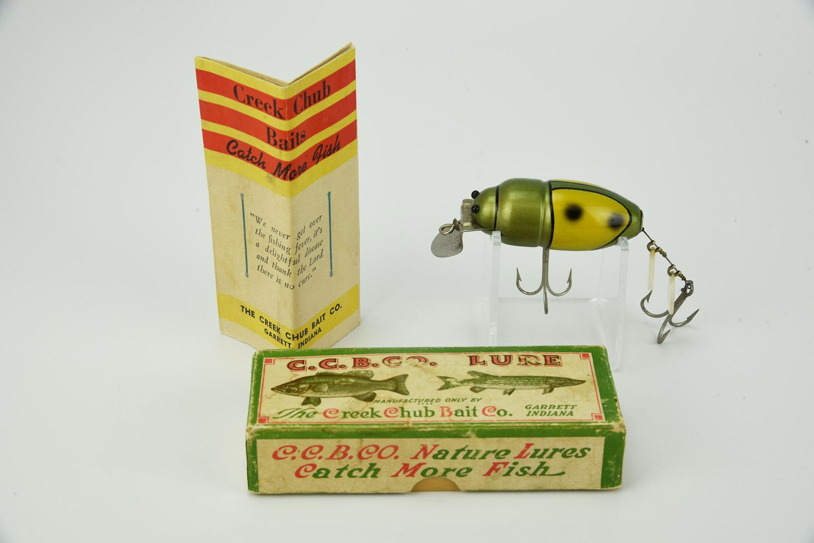 Creek Chub Beetle (1 of 5)