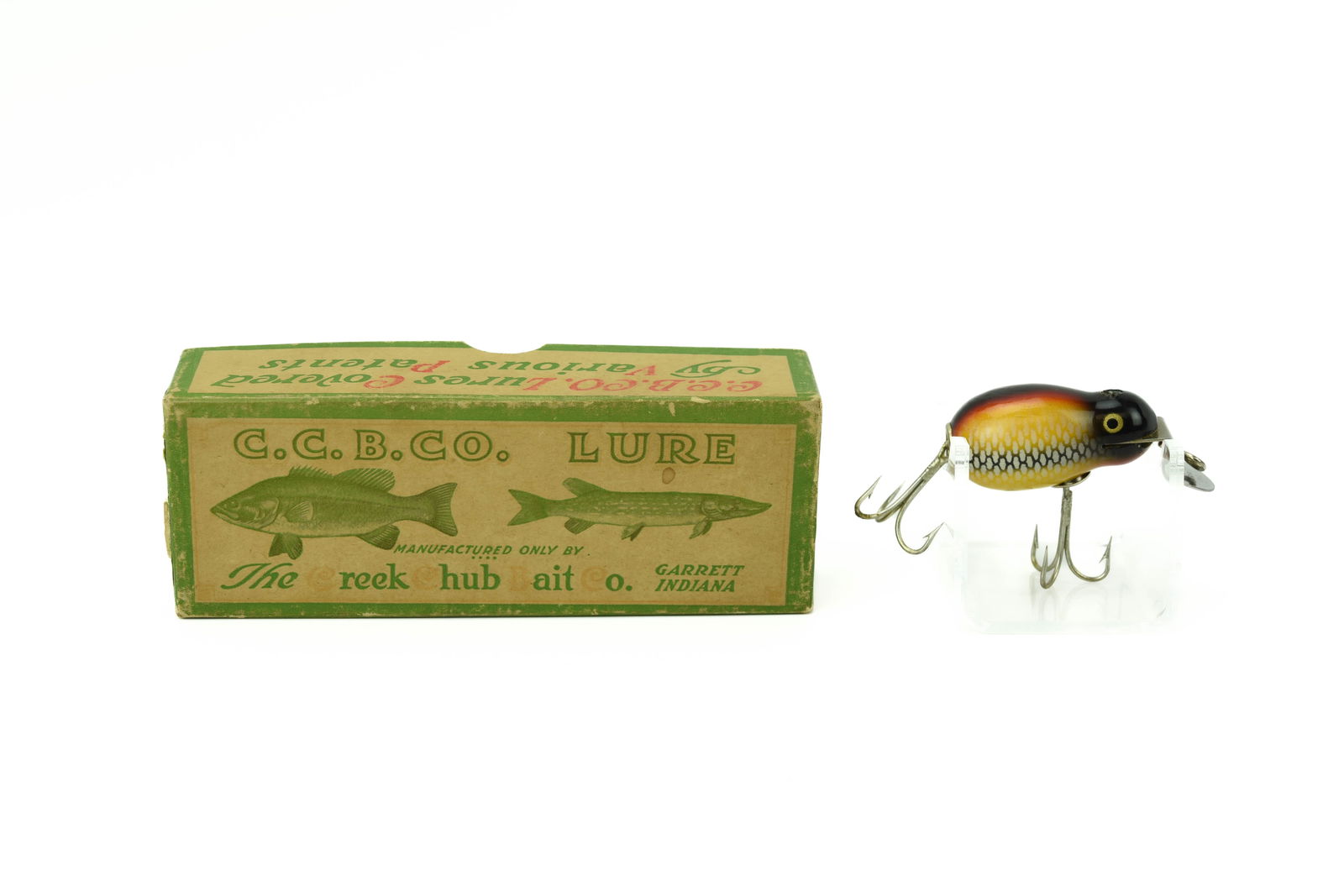 Creek Chub Tiny Tim (1 of 6)