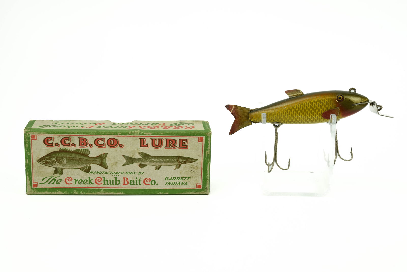 Fintail Shiner CREEKCHUB 1920年代 Fintail Shiner CREEKCHUB 1920年代 Fintail Shiner CREEKCHUB