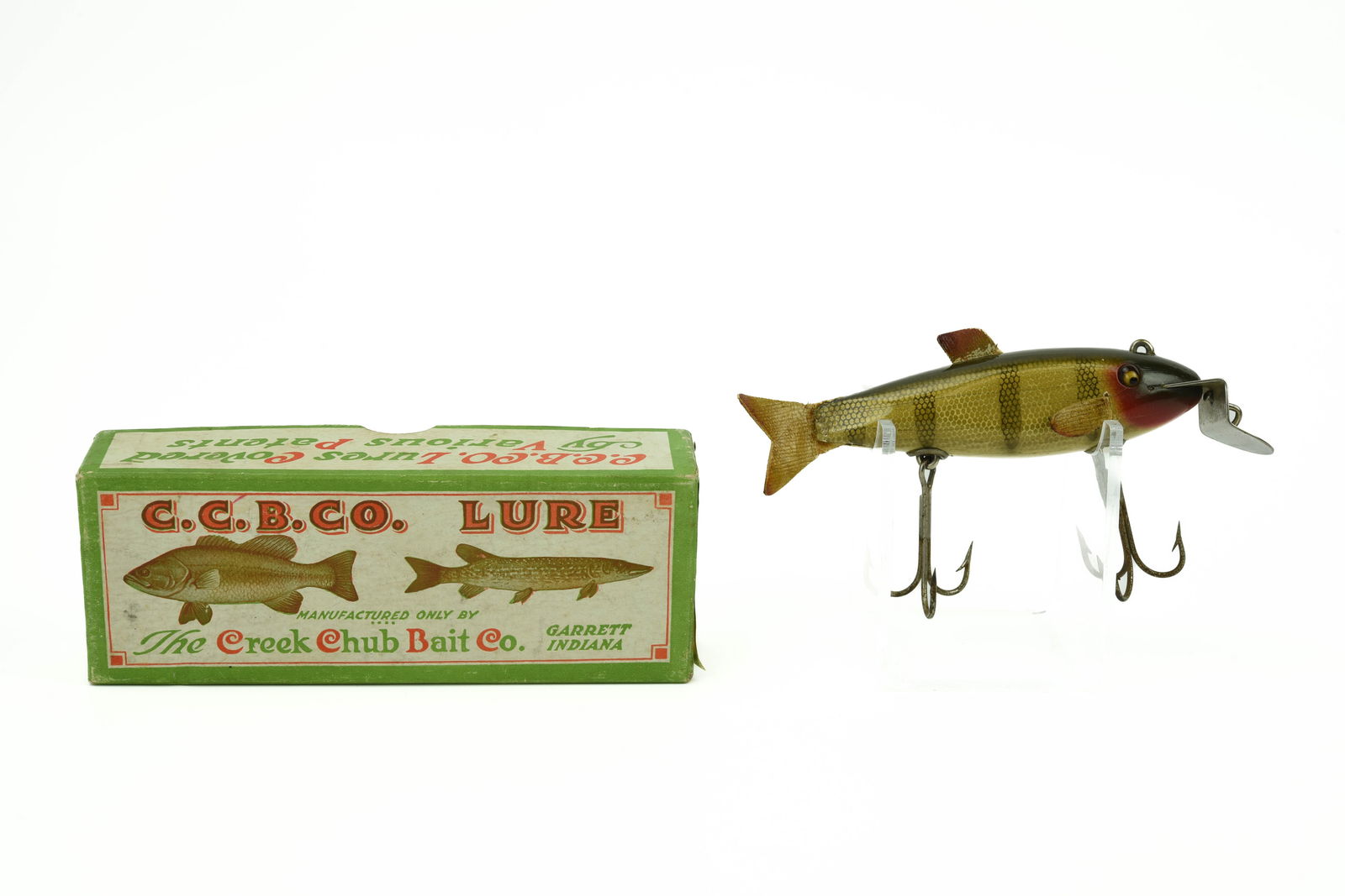 Creek Chub Fintail Shiner (1 of 6)