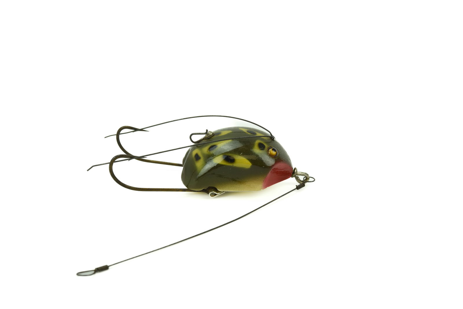 Creek Chub Weed Bug (1 of 4)