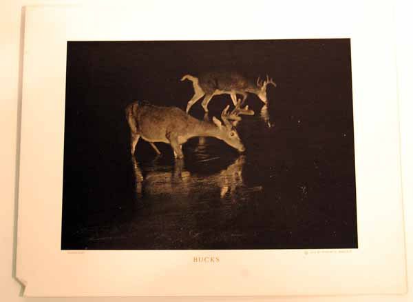 10 Hobart V. Roberts Photo Prints - Night Vision: also included is a Hobart Roberts exhibition booklet