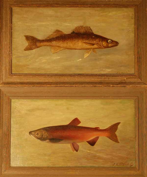 Pair of O/C Fish Paintings by J.L. Petrie: Red Fish of Idaho and Walleyed Pike
