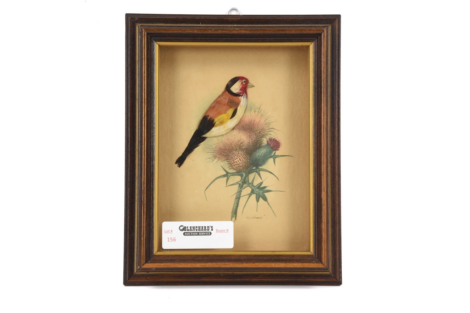 English Gold Finch 3 Dimensional Shadow Box (1 of 4)