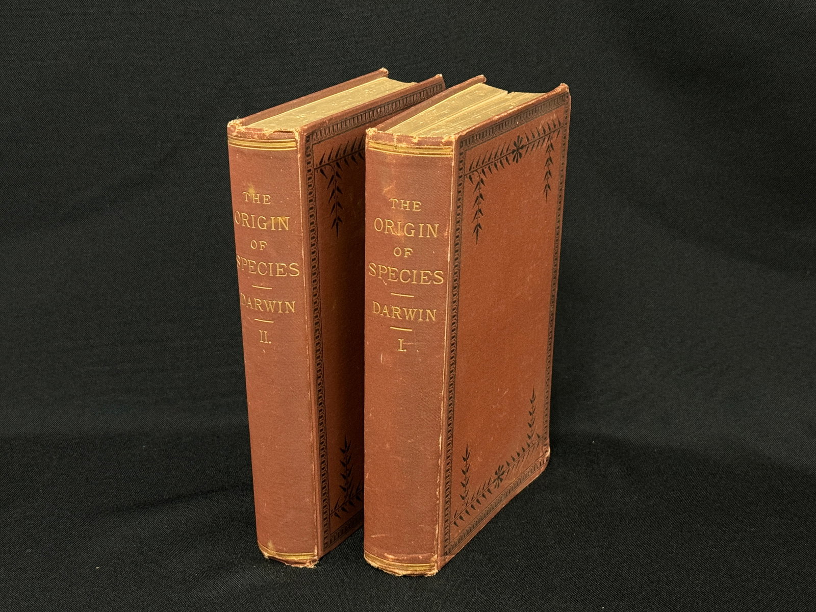 Darwin ORIGIN OF SPECIES 1889 with his corrections (1 of 2)