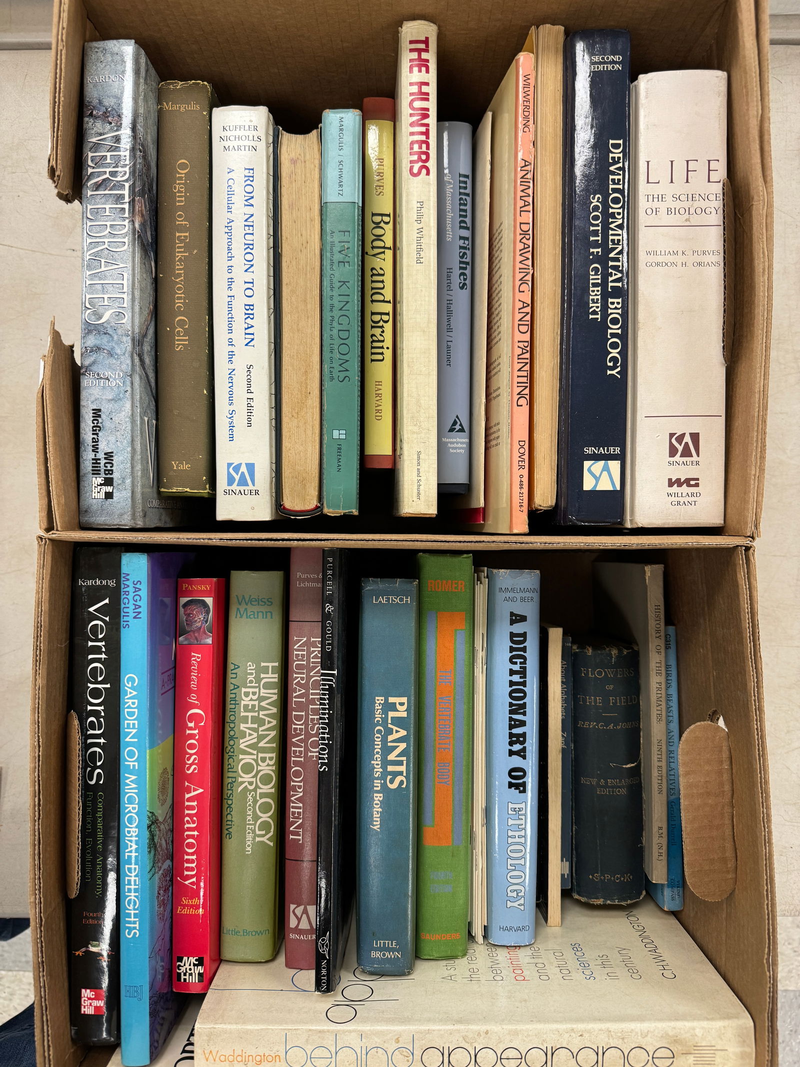 STEPHEN JAY GOULD collaborator LASZLO MESZOLY’s bo (1 of 6)