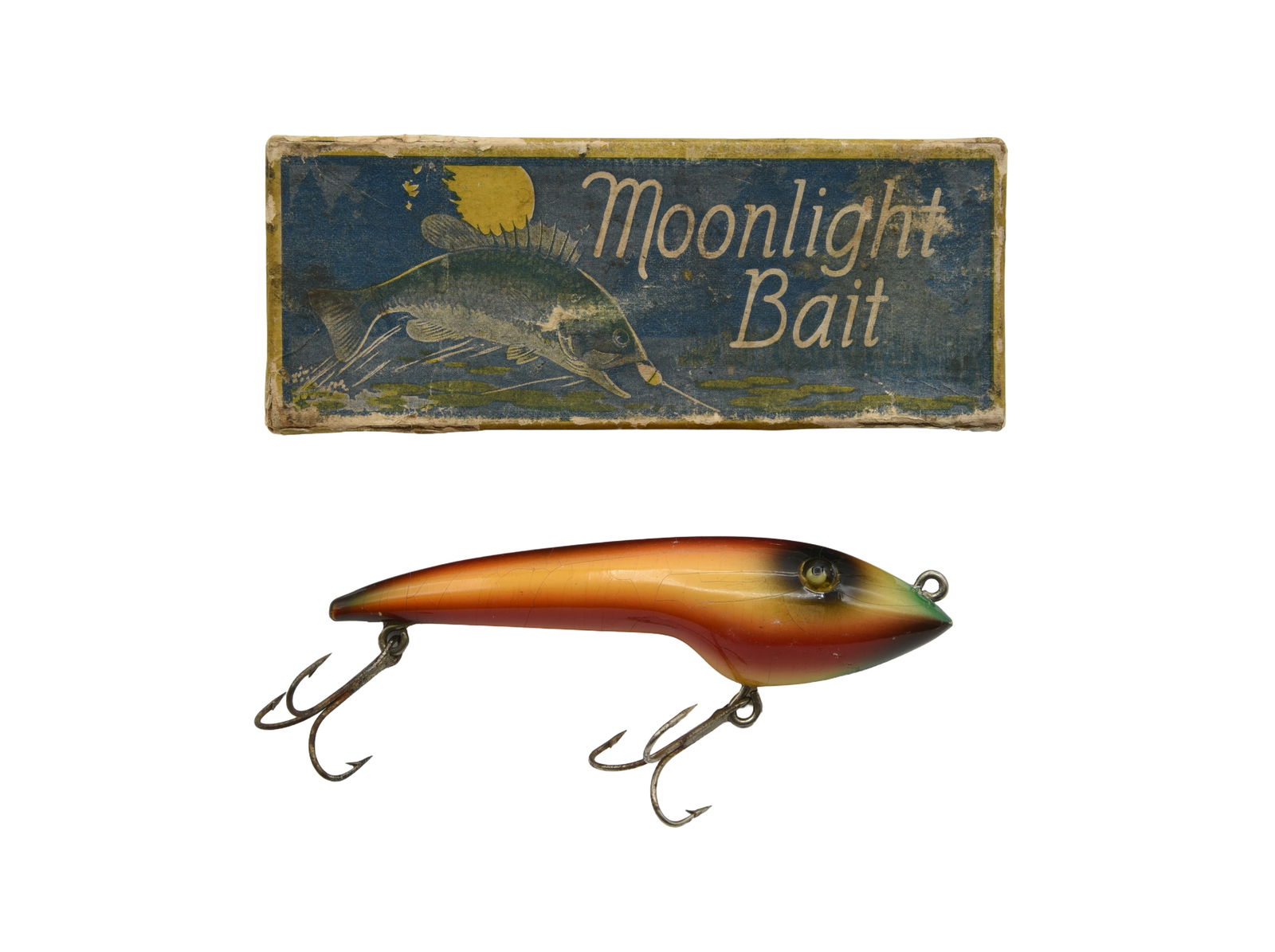 Moonlight Pollywog (1 of 3)