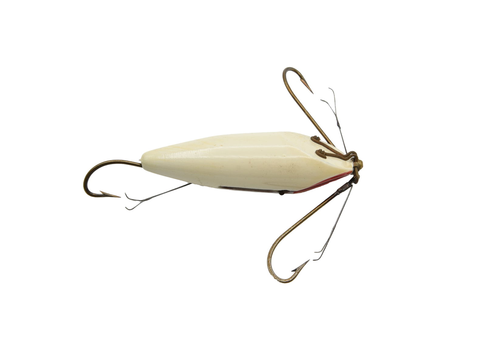 Payne's Humane Woggle-Bug (1 of 3)