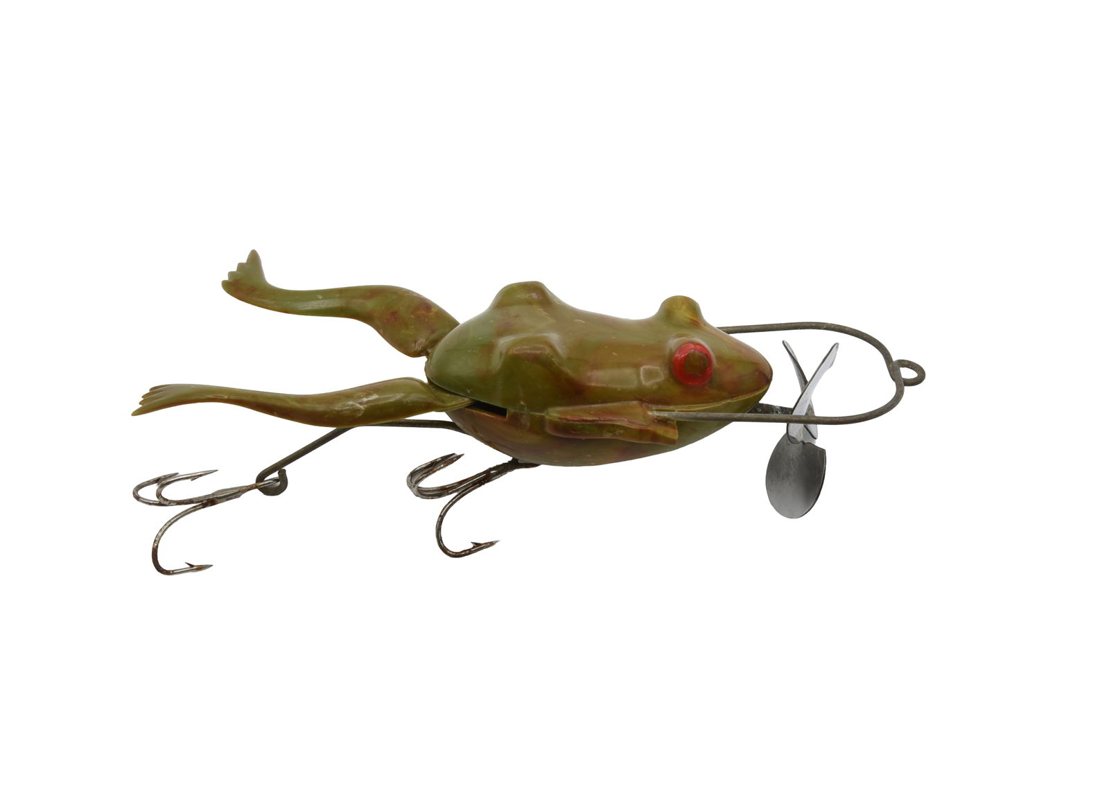 The Live Action Frog (1 of 3)