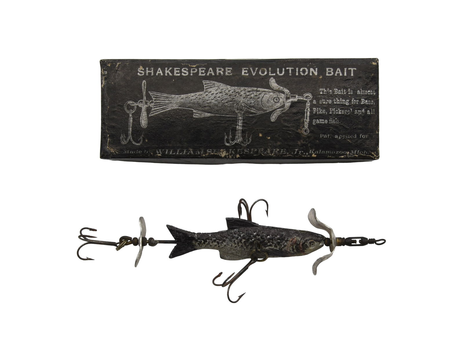 Shakespeare Introductory Evolution Picture Box (1 of 3)