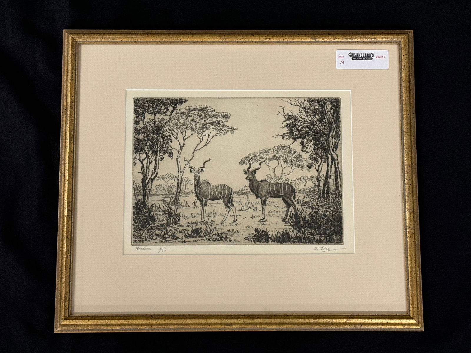 Kudu Etching Artist Signed & Numbered: H.V.E. No 15 / 25. Framed. 18" x 15"