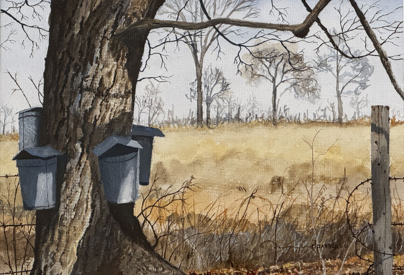 D Pattullo Watercolor - Maple Tree & Sap Buckets (1 of 4)