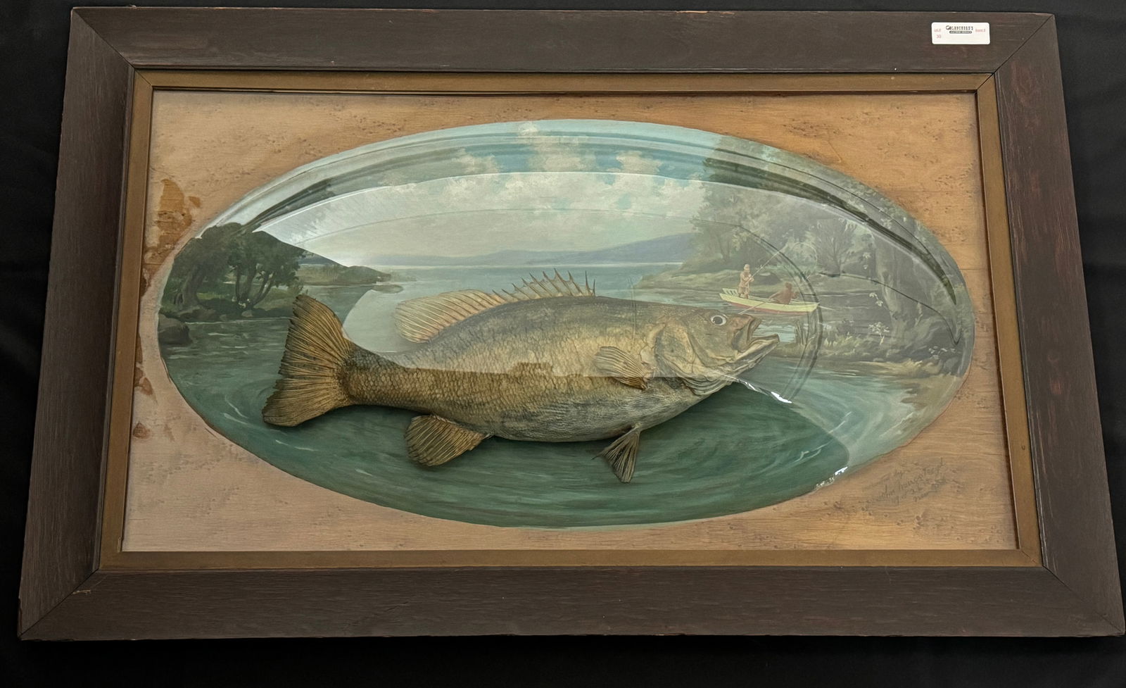 Bass Mounted Under Bubble Glass w/ Scenic Painting (1 of 5)