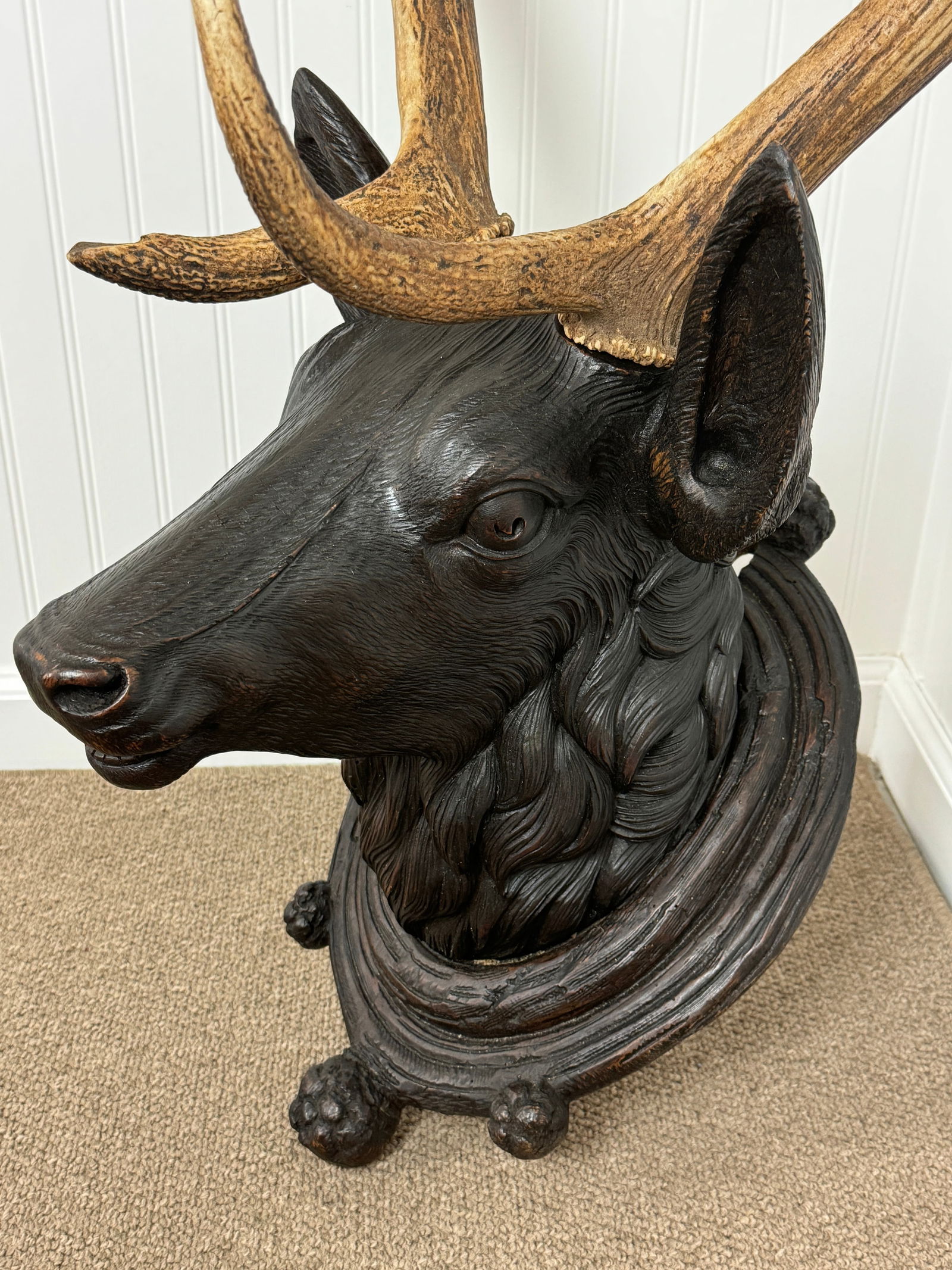 Black Forest Stag Head with Real Antlers (1 of 4)