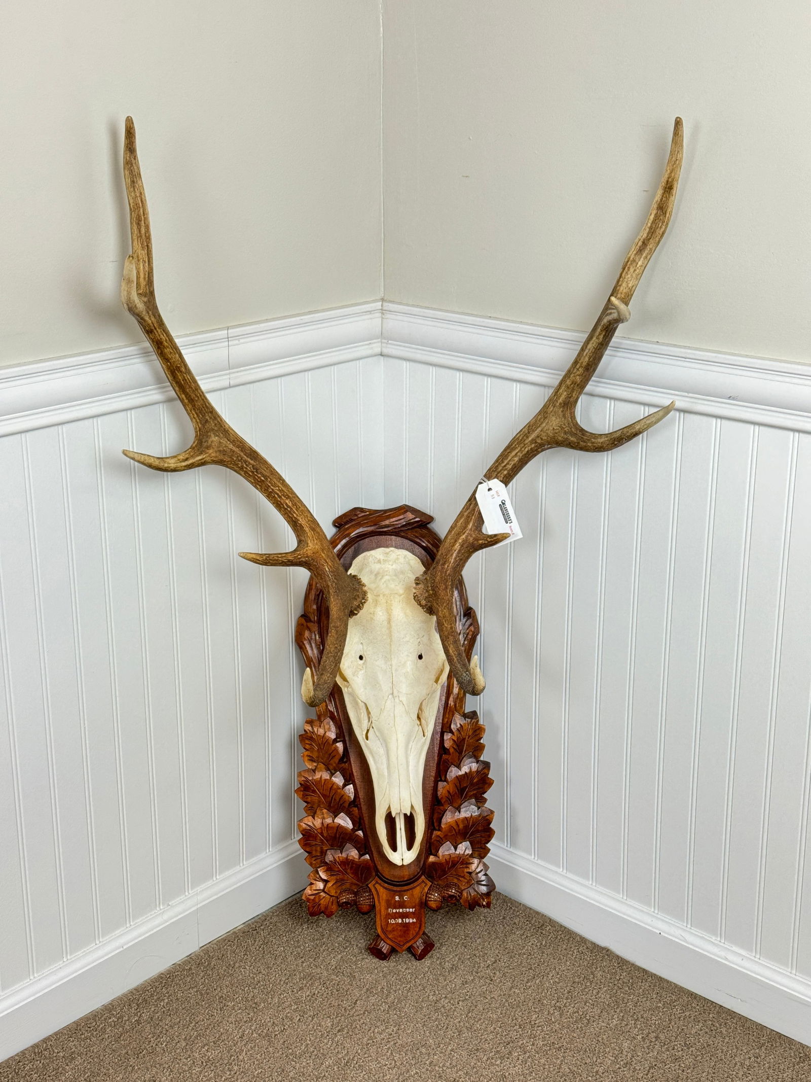 German Black Forest Skull Mount Stag Head (1 of 5)