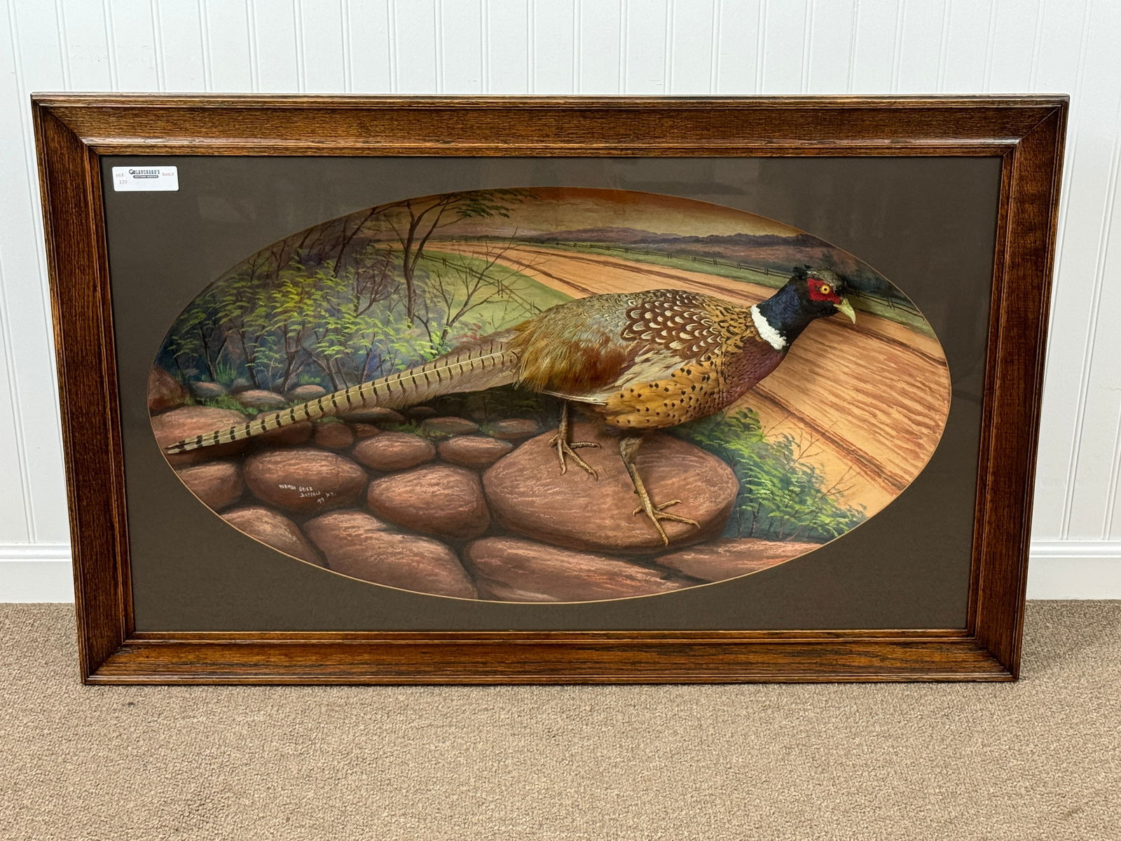 Mounted Ringneck Pheasant Under Glass (1 of 4)