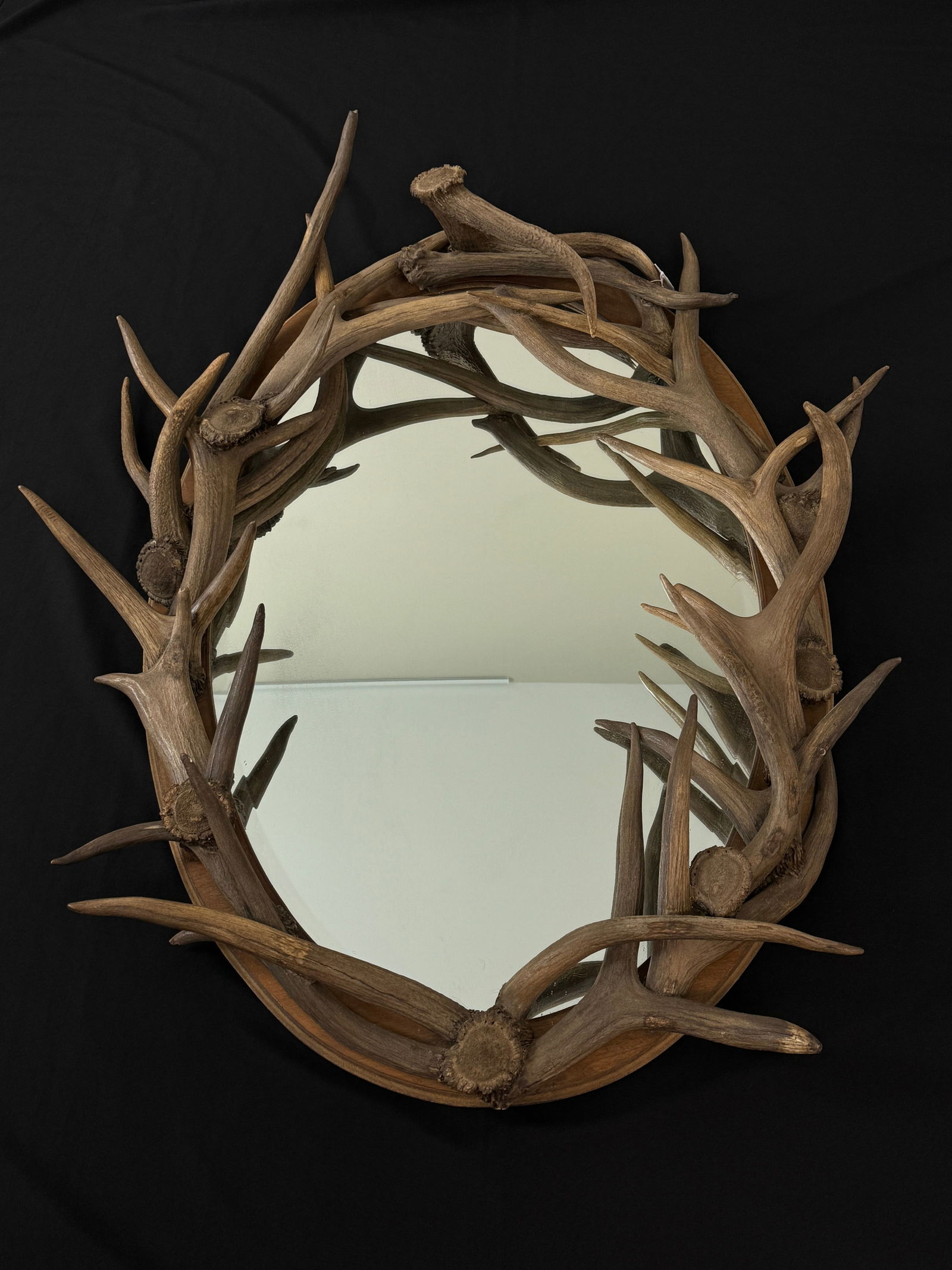 Large Oval Antler Mirror (1 of 3)